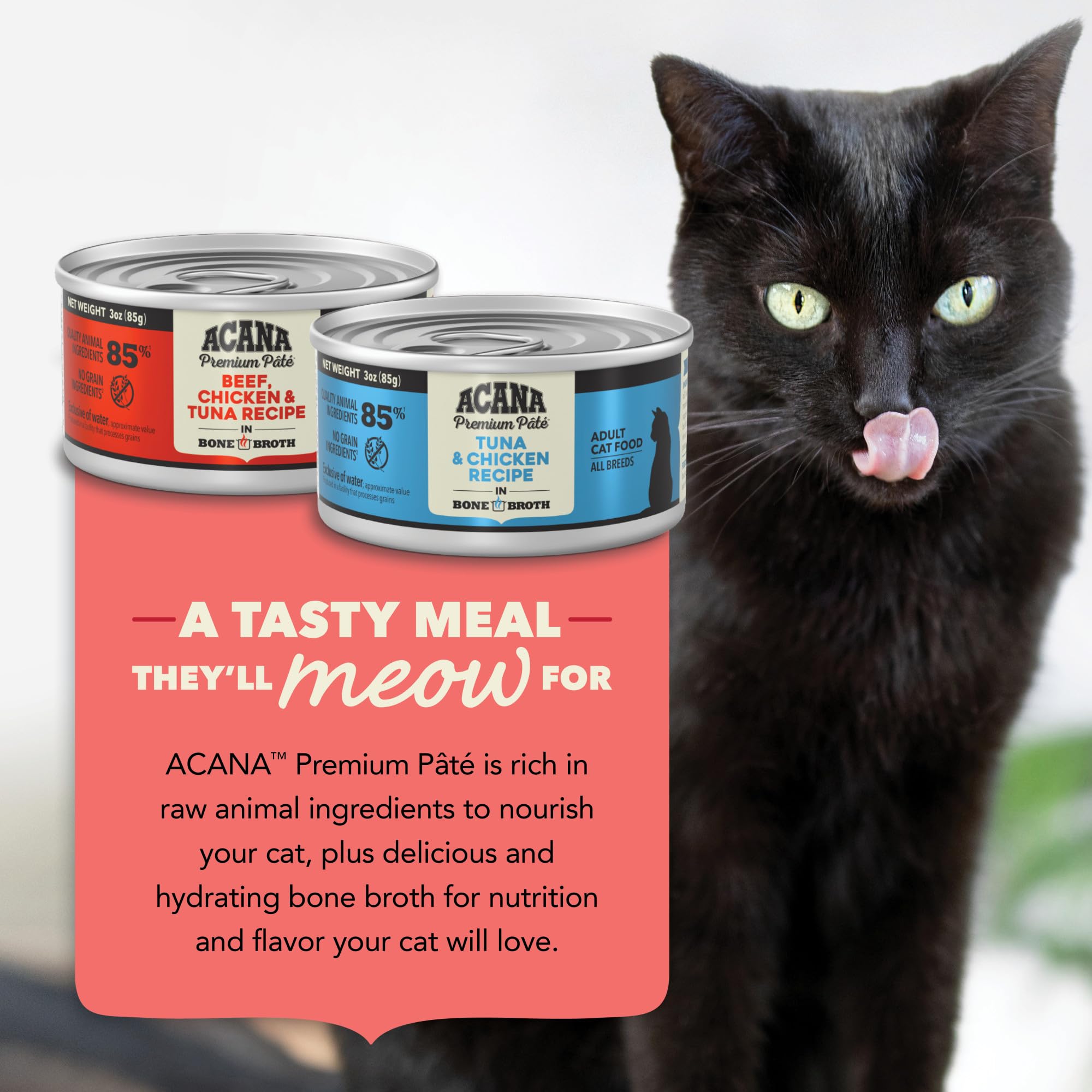 ACANA pâté chat: ingrédients Tuna et Poulet clairement visibles