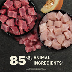 ACANA Pâté Chat — texture pâté crèmeuse pour une dégustation douce.