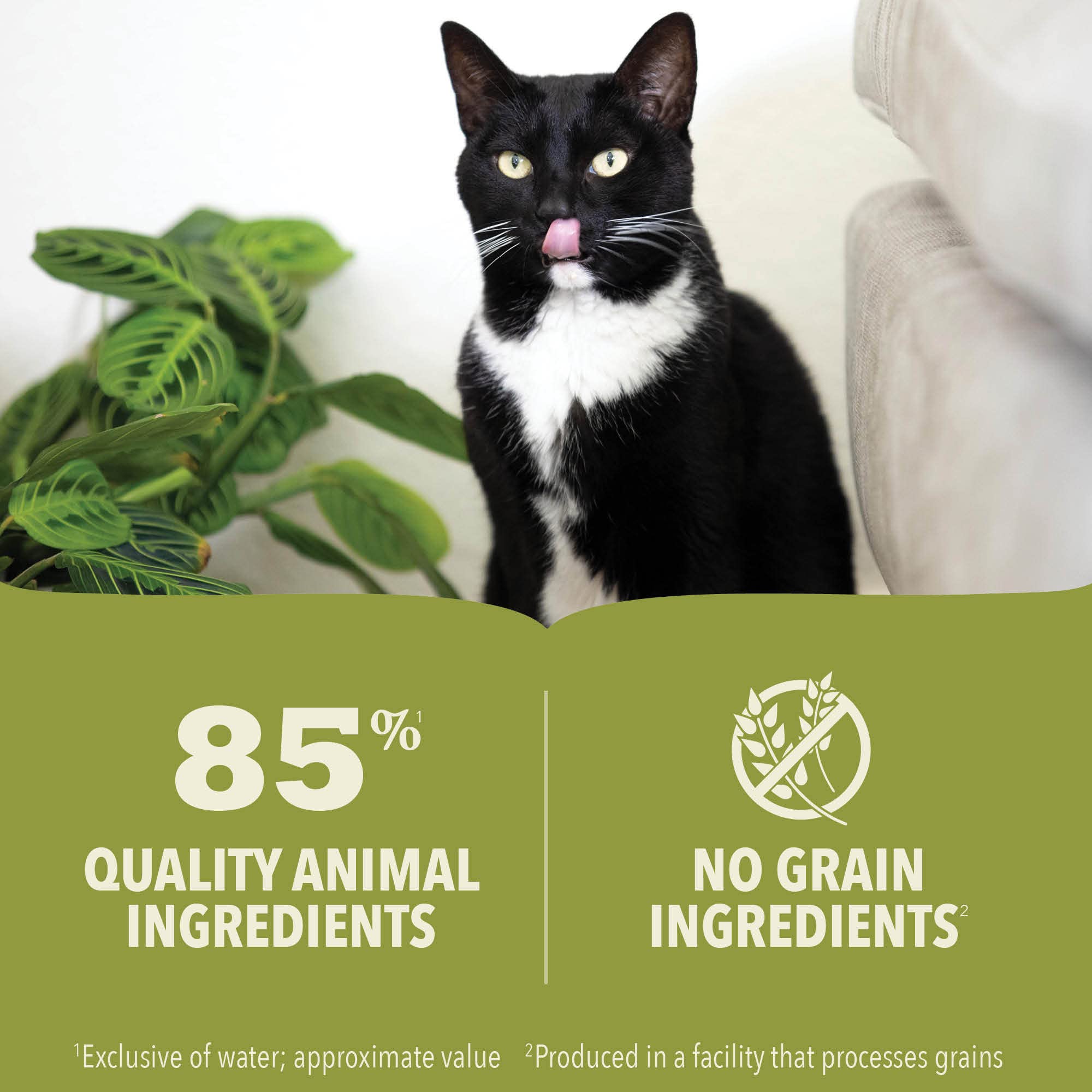 ACANA Pâté 85% ingrédients animaux, formulation dense.