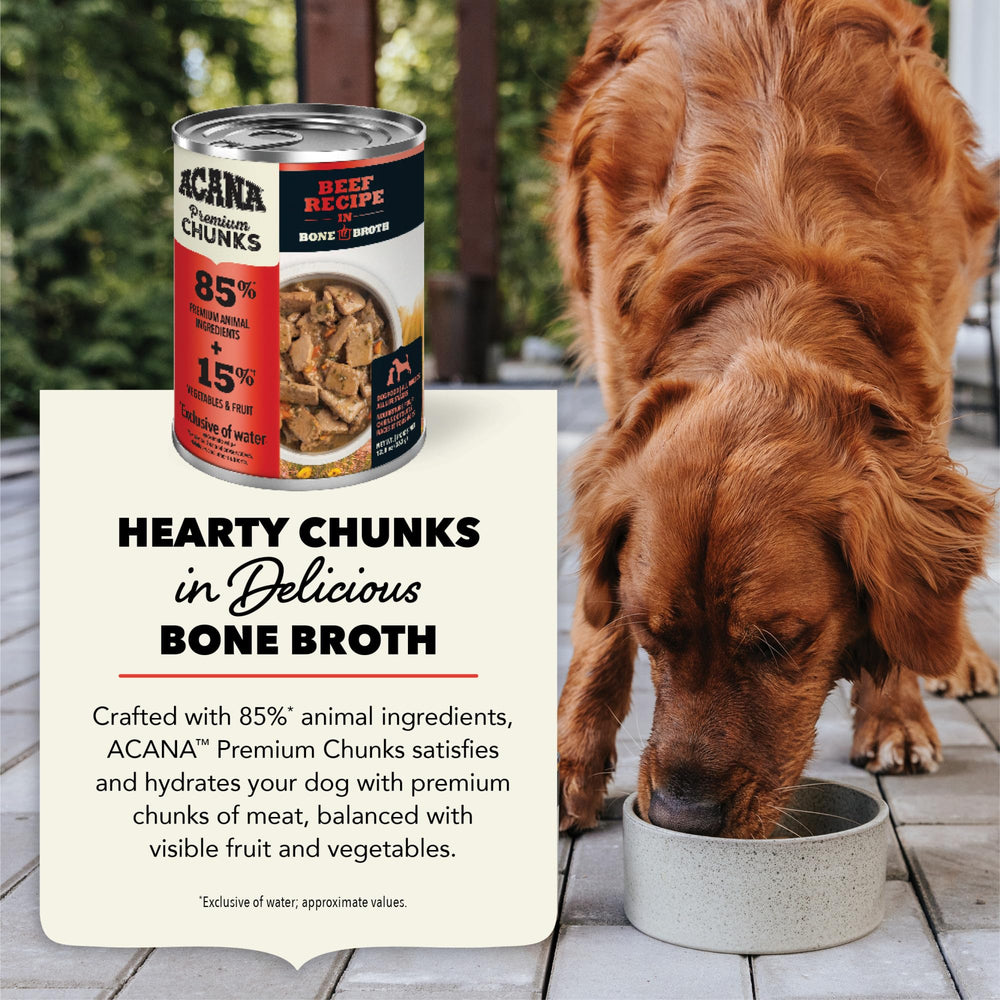ACANA Premium Chunks texture facile à digérer pour chiens sensibles