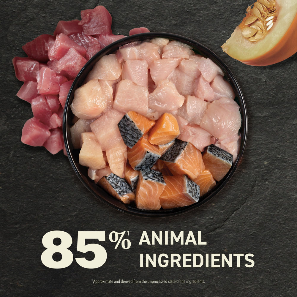 ACANA Premium Pâté Chat sans céréales, repas protéiné et équilibré.