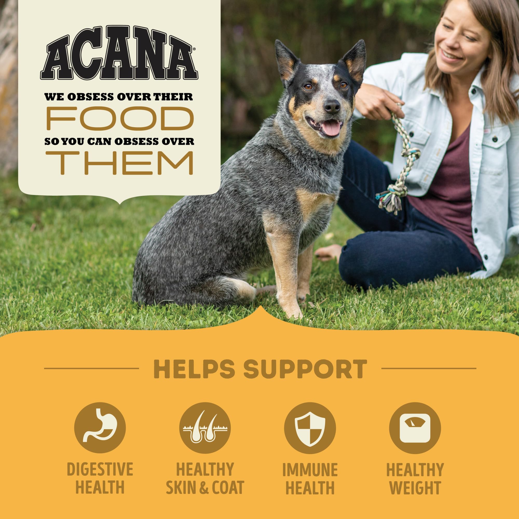 ACANA Protéines Animales Élevage – formulation dense en protéines pour chiens actifs.