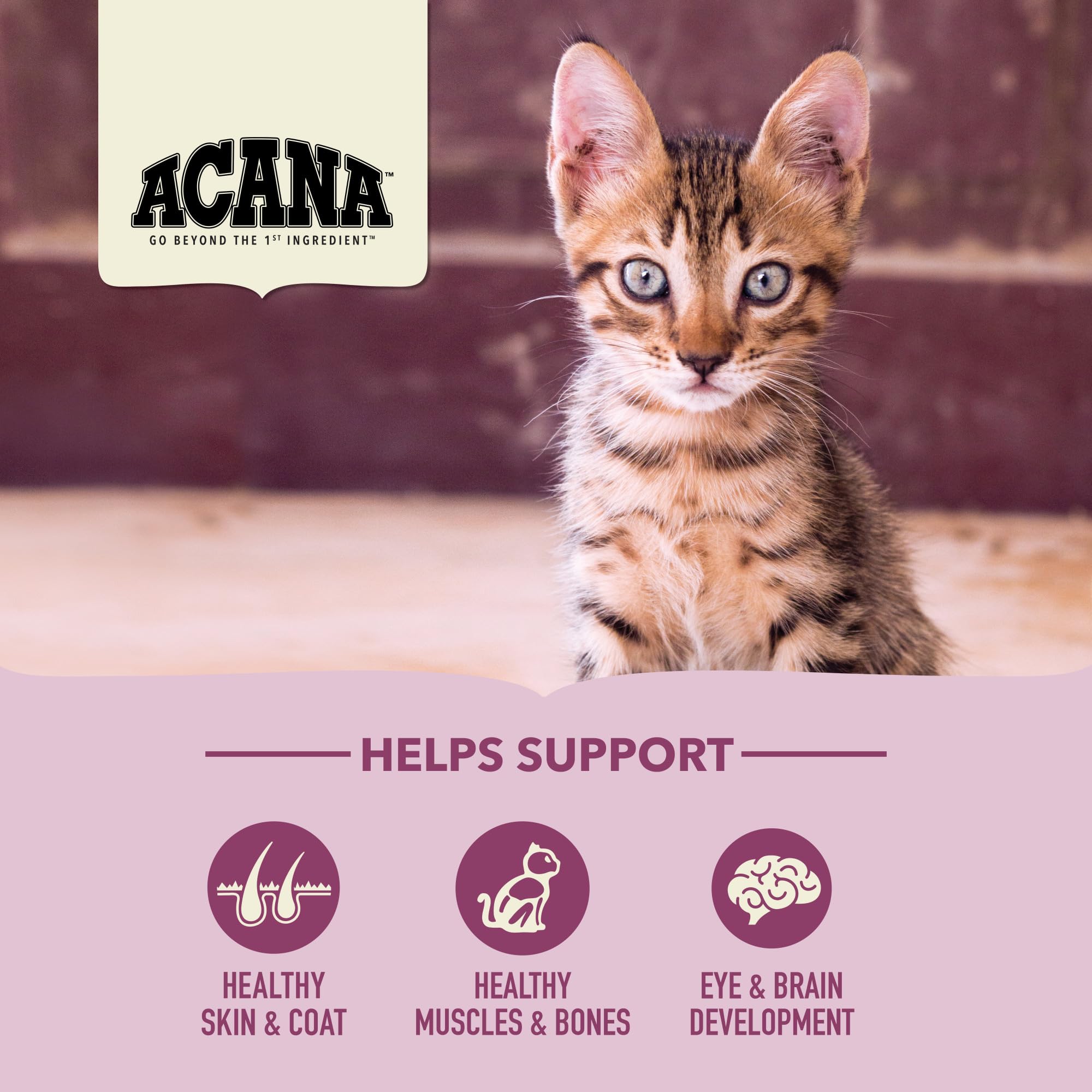 ACANA sans grains, croquettes pour chaton, sans colorants ni conservateurs.