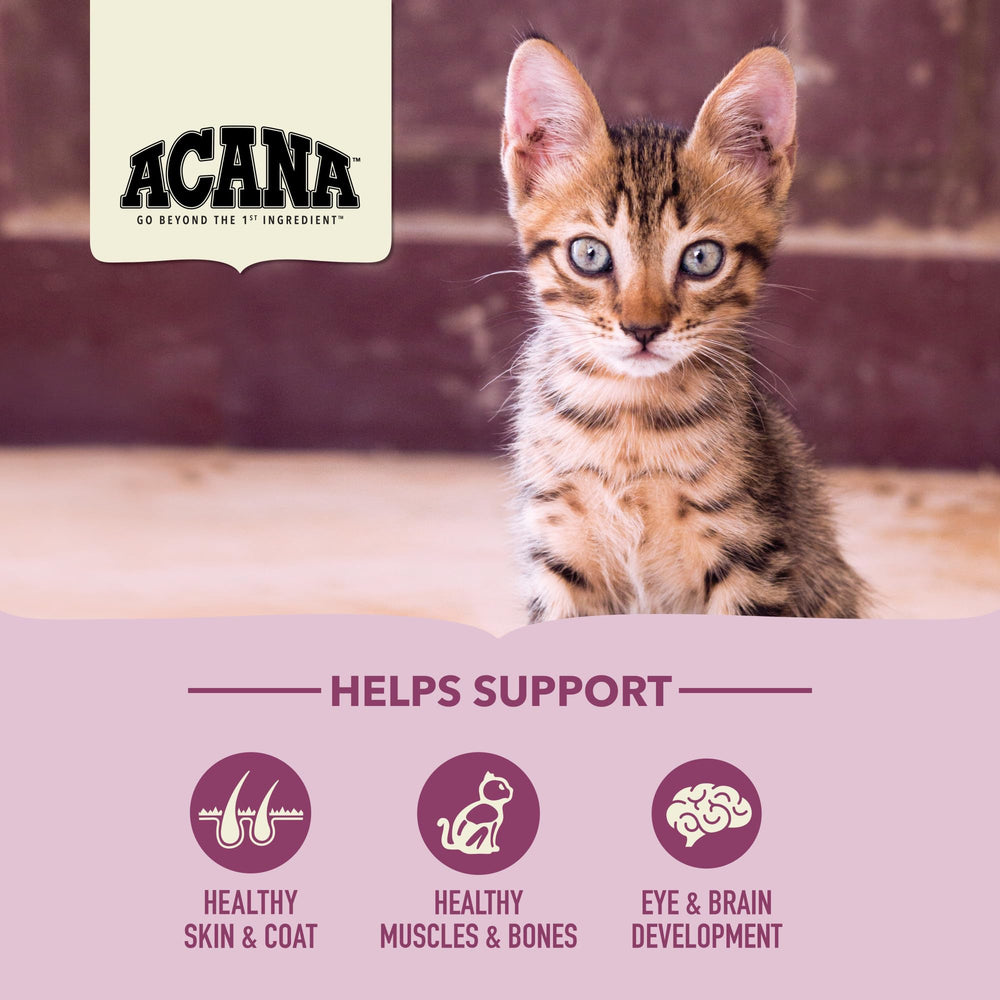 ACANA sans grains, croquettes pour chaton, sans colorants ni conservateurs.