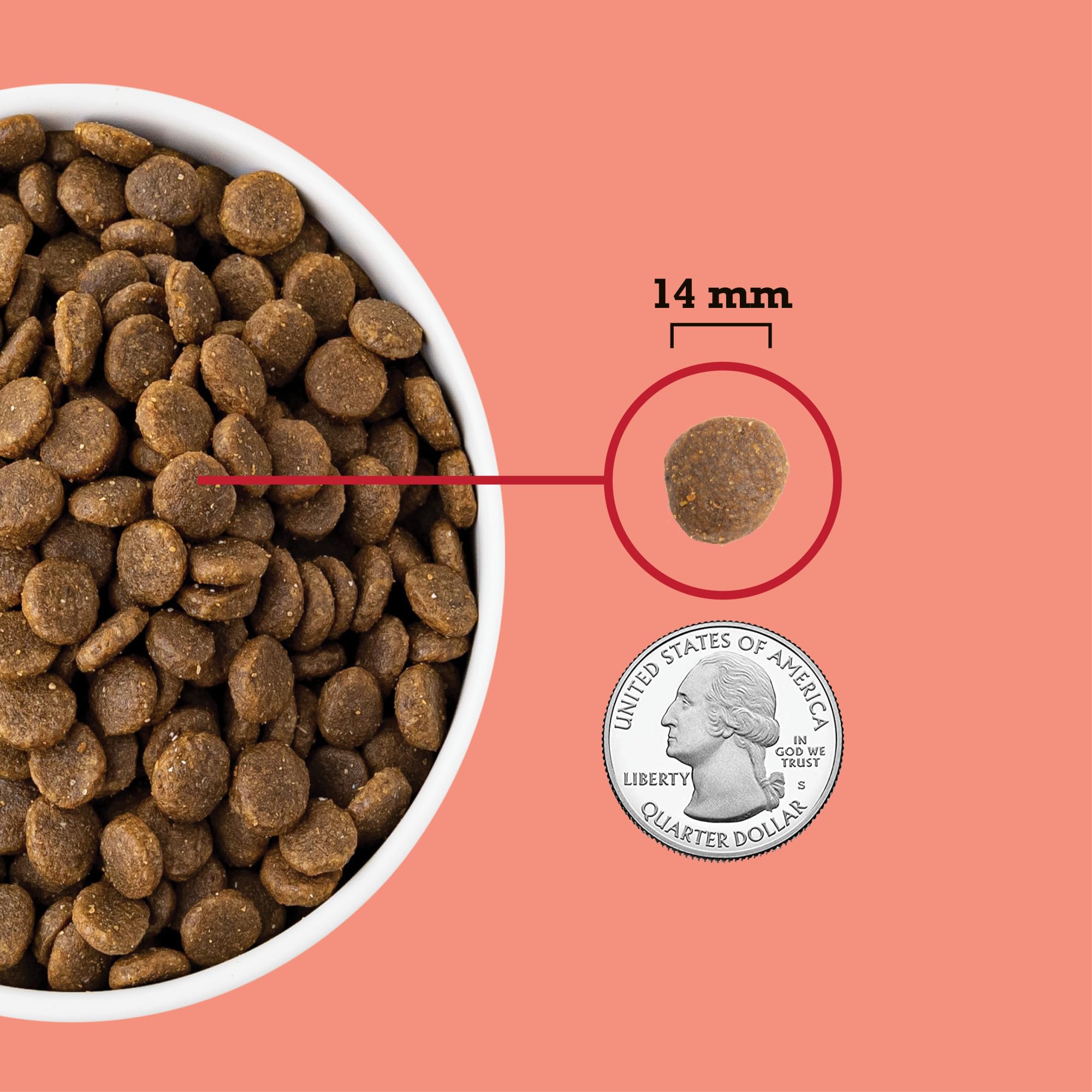 ACANA Recette Viande Rouge sec chien: équilibre nutritionnel pour poids sain.
