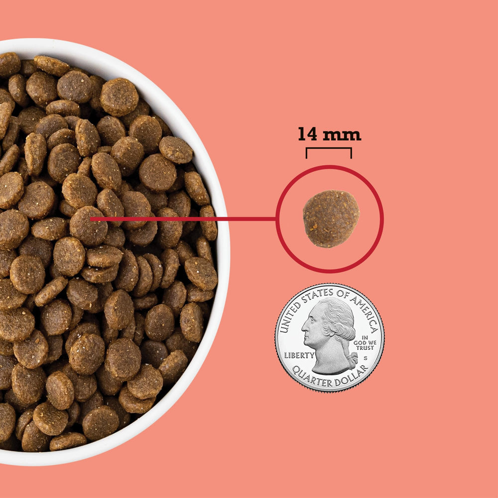 ACANA Recette Viande Rouge sec chien: équilibre nutritionnel pour poids sain.