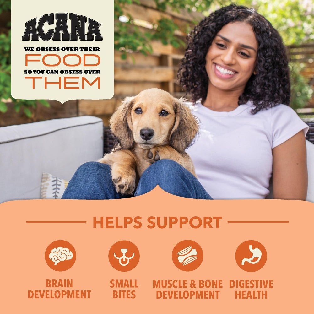ACANA Wholesome Grains Puppy: céréales riches en fibres pour chiots vigoureux