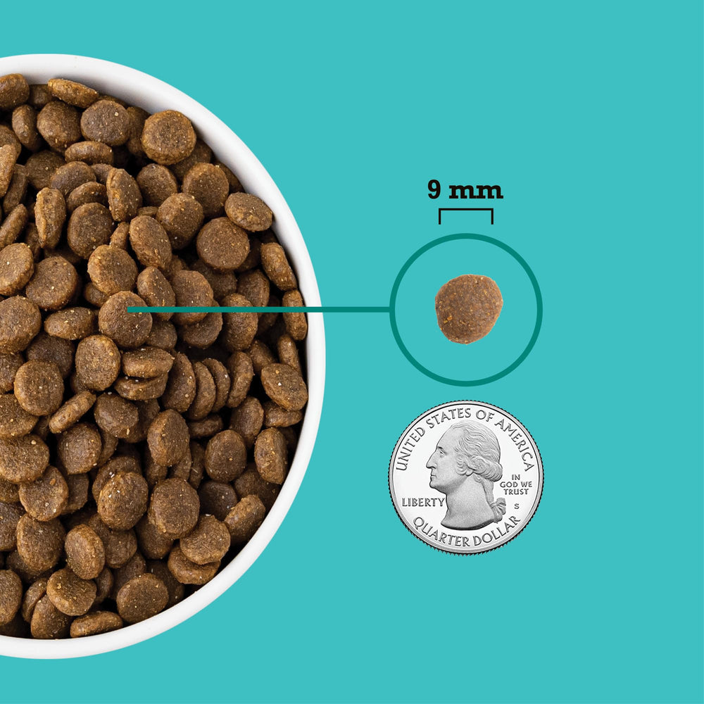 ACANA Wholesome Grains chiots emballage sac 1,8 kg et conservation.