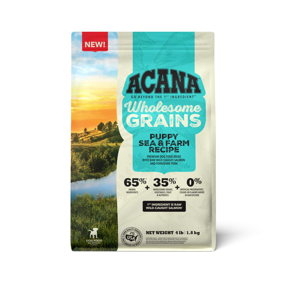 ACANA Wholesome Grains chiots, gros plan sur les croquettes, énergie et croissance.