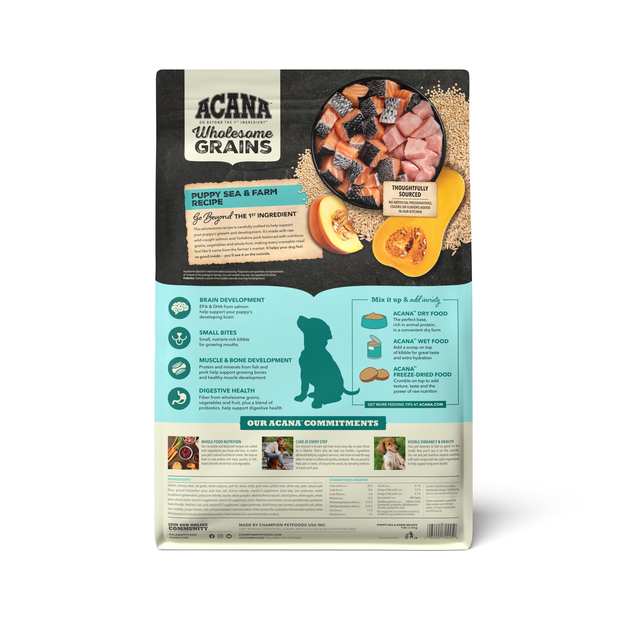 ACANA Wholesome Grains chiots avec saumon sauvage cru, protéine naturelle.