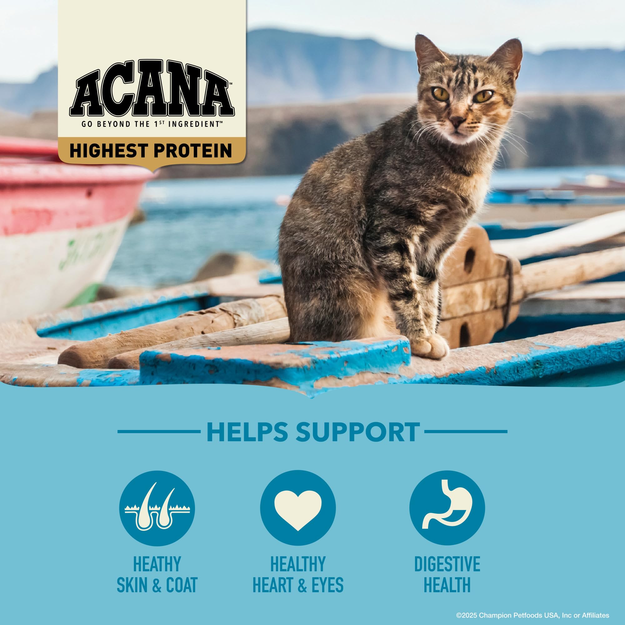 ACANA Wild Atlantic – foie séché met en valeur la texture et le goût riche.