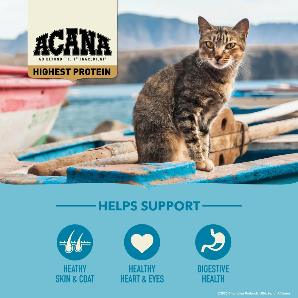 ACANA Wild Atlantic – foie séché met en valeur la texture et le goût riche.