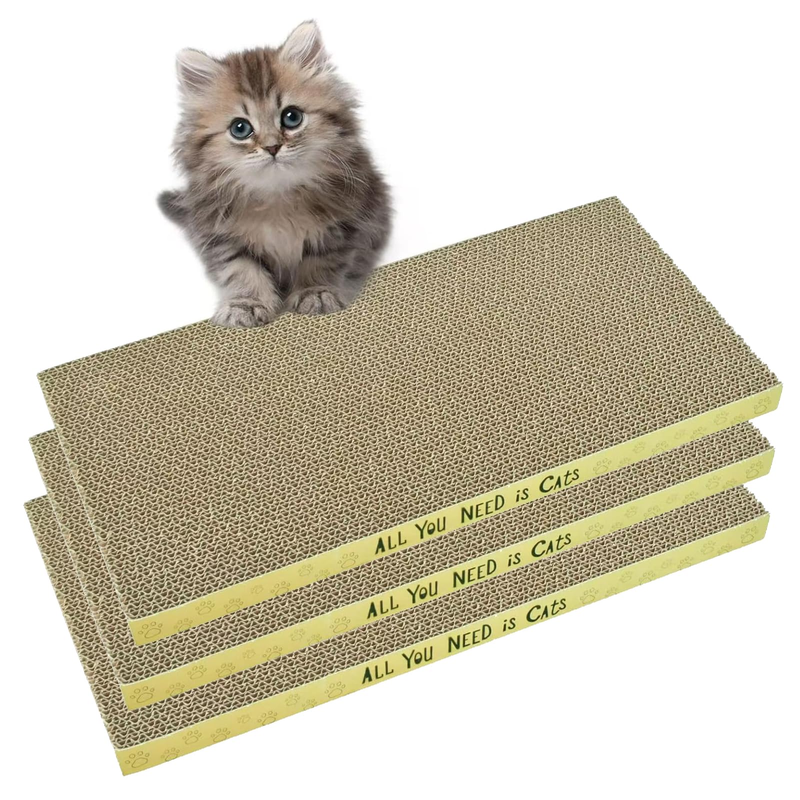 Griffoir AccEncyc en carton rectangulaire, idéal pour l'apprentissage des chats.