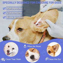 Accesfire boite rangement 200 tiges, organisation pratique pour soins animaux.