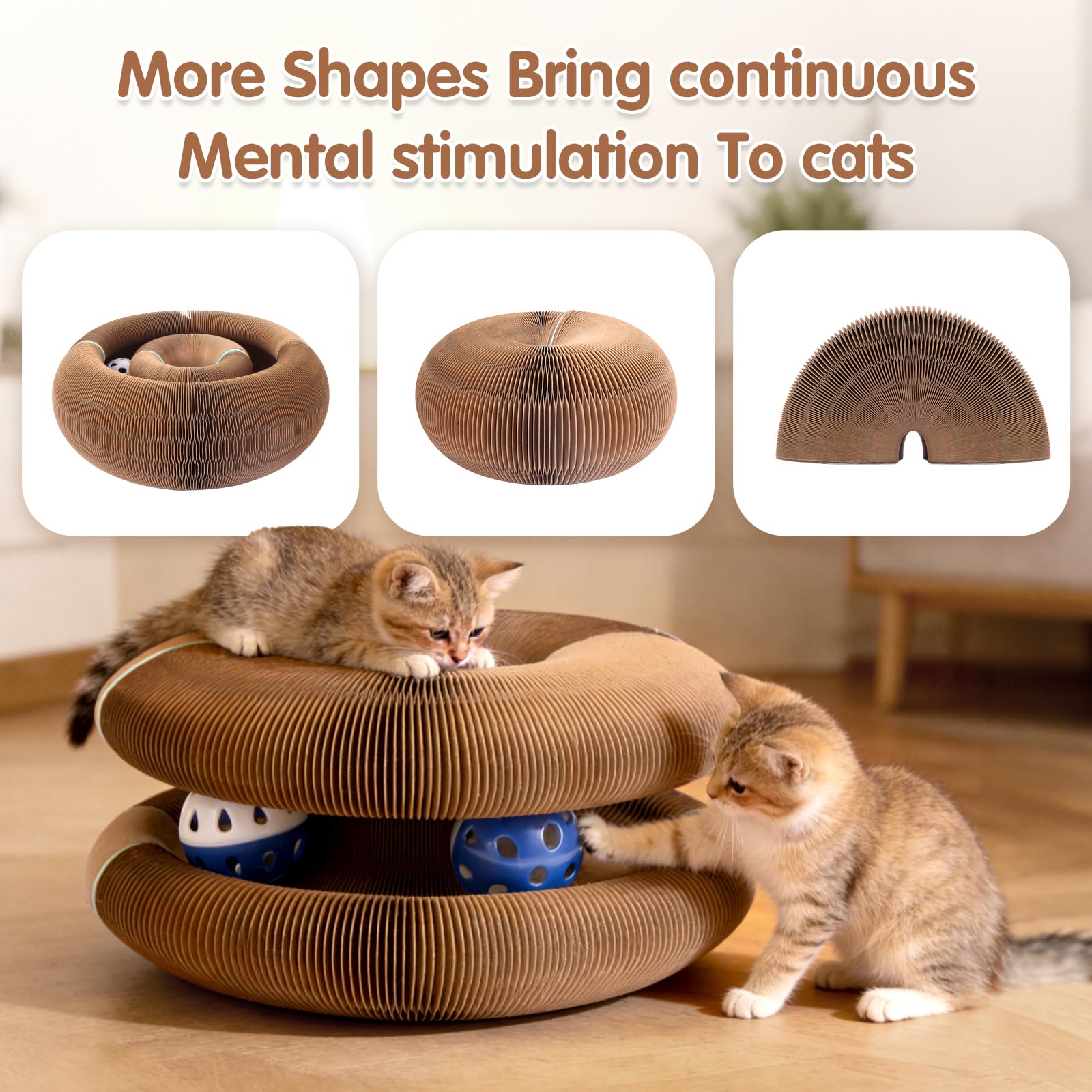 ACEDIGI design transformable chat carton, options de jeux et d'observation.