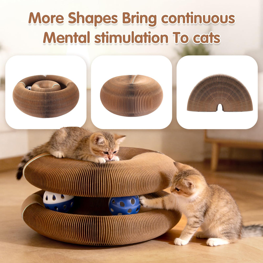 ACEDIGI design transformable chat carton, options de jeux et d'observation.