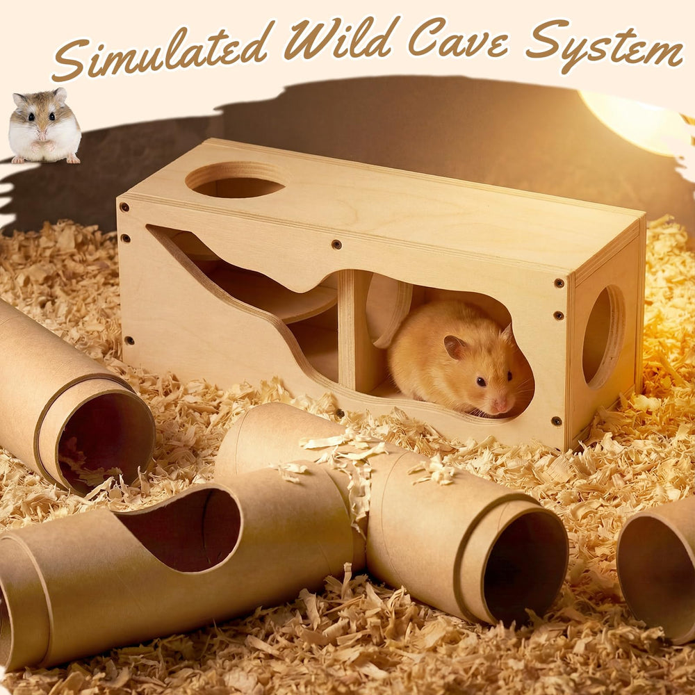 AceOrbit ensemble polyvalent pour hamsters, souris et gerbilles
