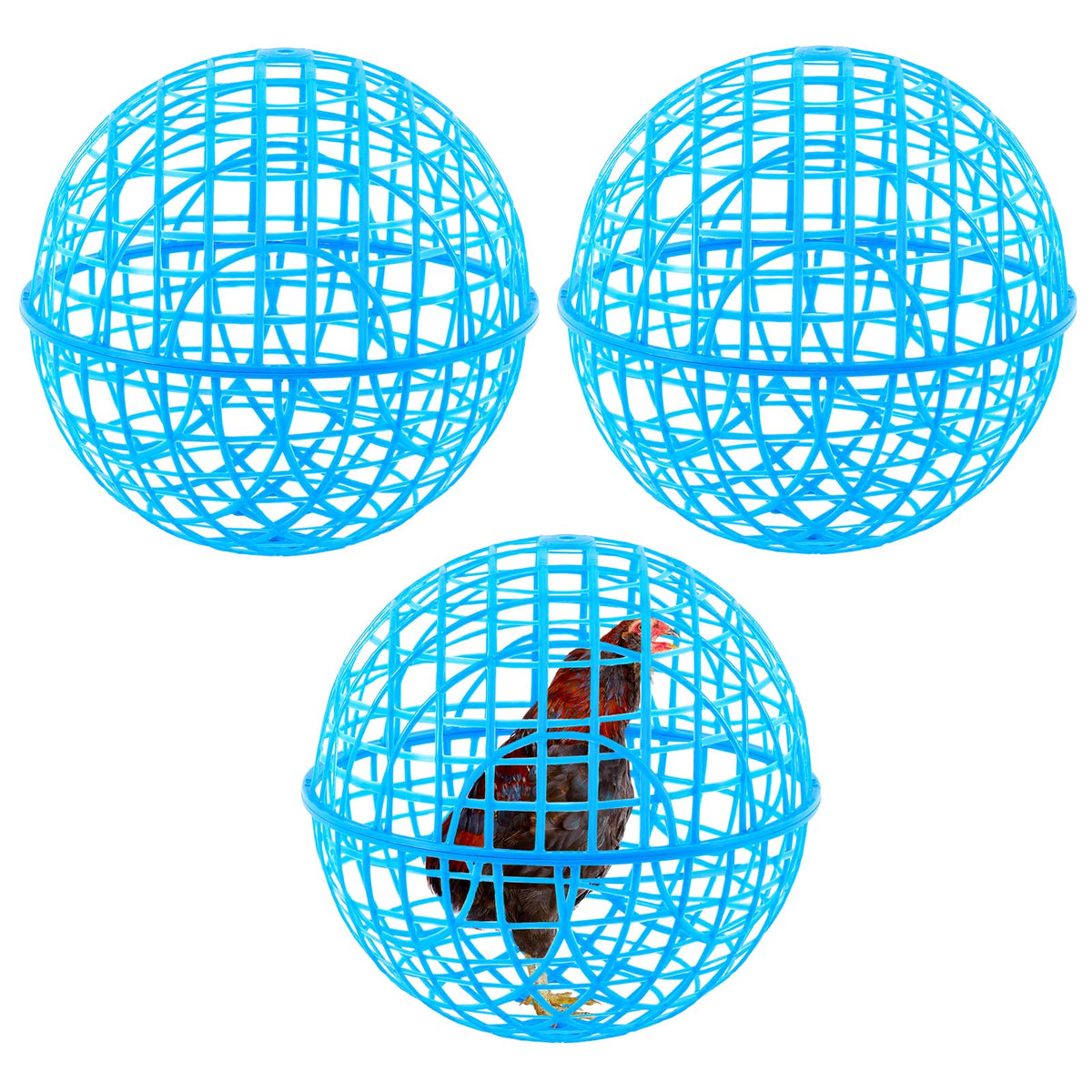 AceOrbit cages poulet ensemble, diamètre 18,9 pouces, abri sûr et espace d'activité.