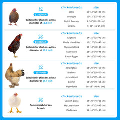 Cage balle Poulet AceOrbit extérieur, roulement facile pour déplacement pratique.