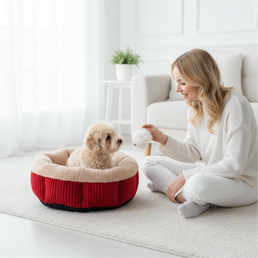 AceOrbit diametre 20 pouces, adapté pour chats et petits chiens.