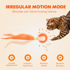 ACITMLLC Balle-mouvement-automatique-chat-chien offre des sessions de jeu variées.