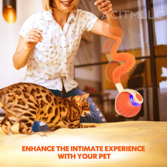 ACITMLLC Balle-queue-plume-chat-chien attire l’attention et facilite le jeu intérieur.