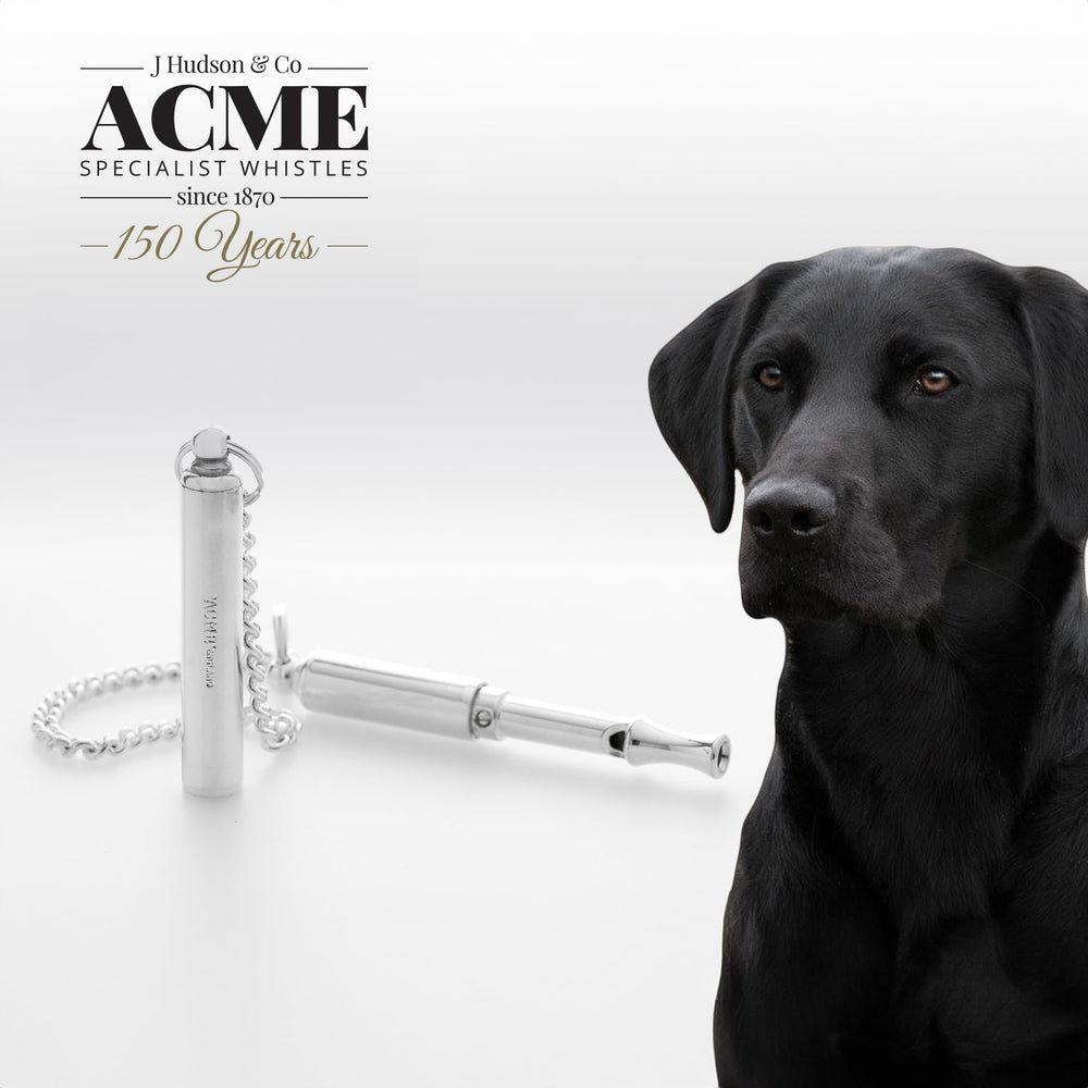 ACME 535 sifflet finition nickelé – surface durable et élégante