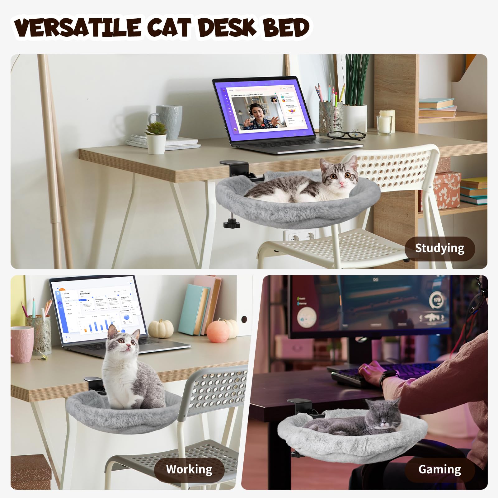 Acools usage polyvalent à la maison, au bureau et en étude.