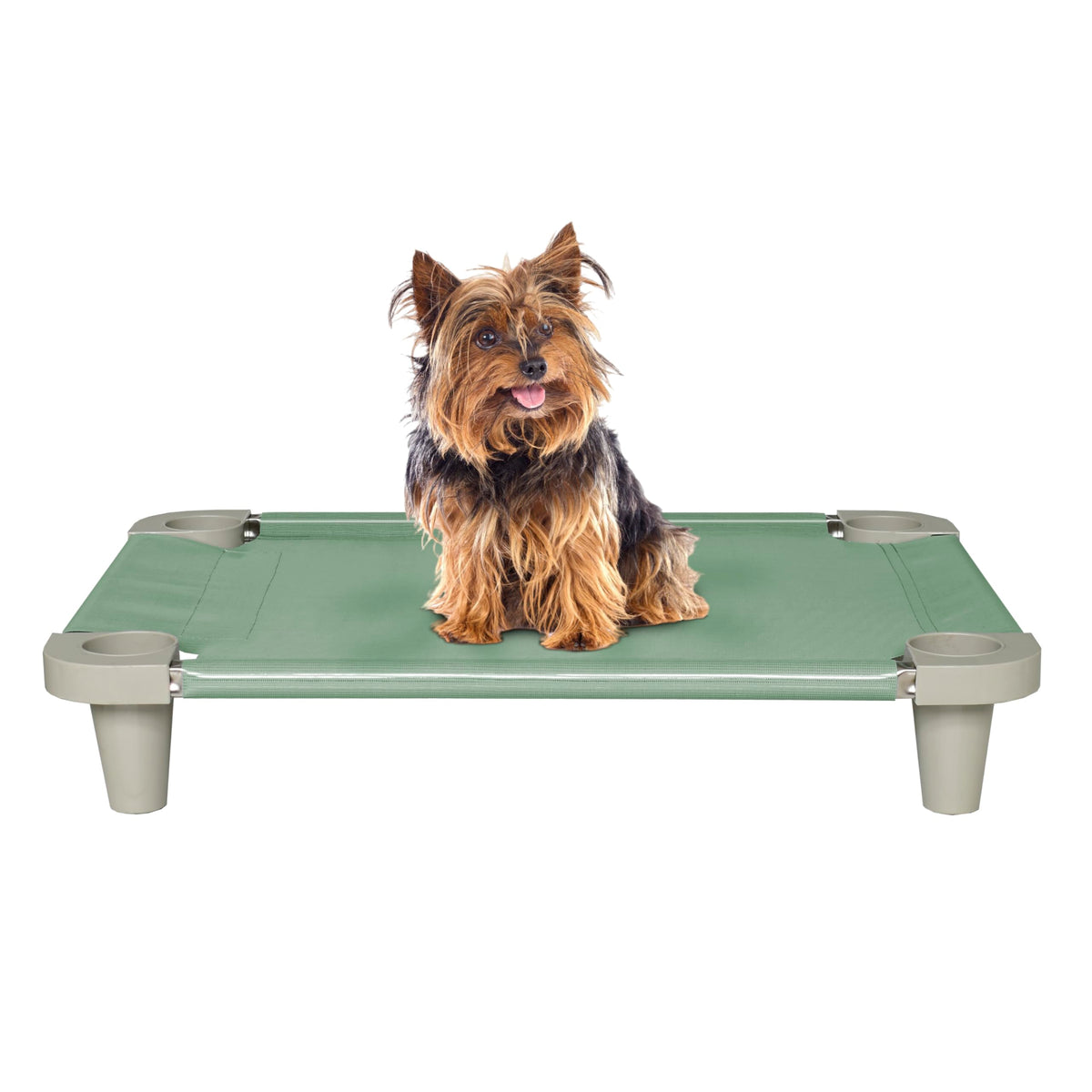 Acrimet lit chien elevé vert avec maille respirante pour un repos frais.