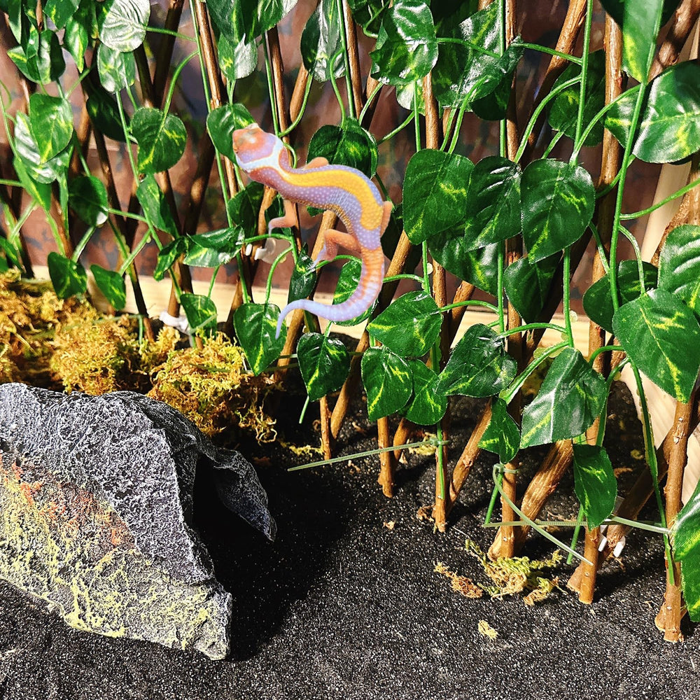 Acsist decor habitat reptile verdoyant artificiel, ambiance naturelle sans entretien.
