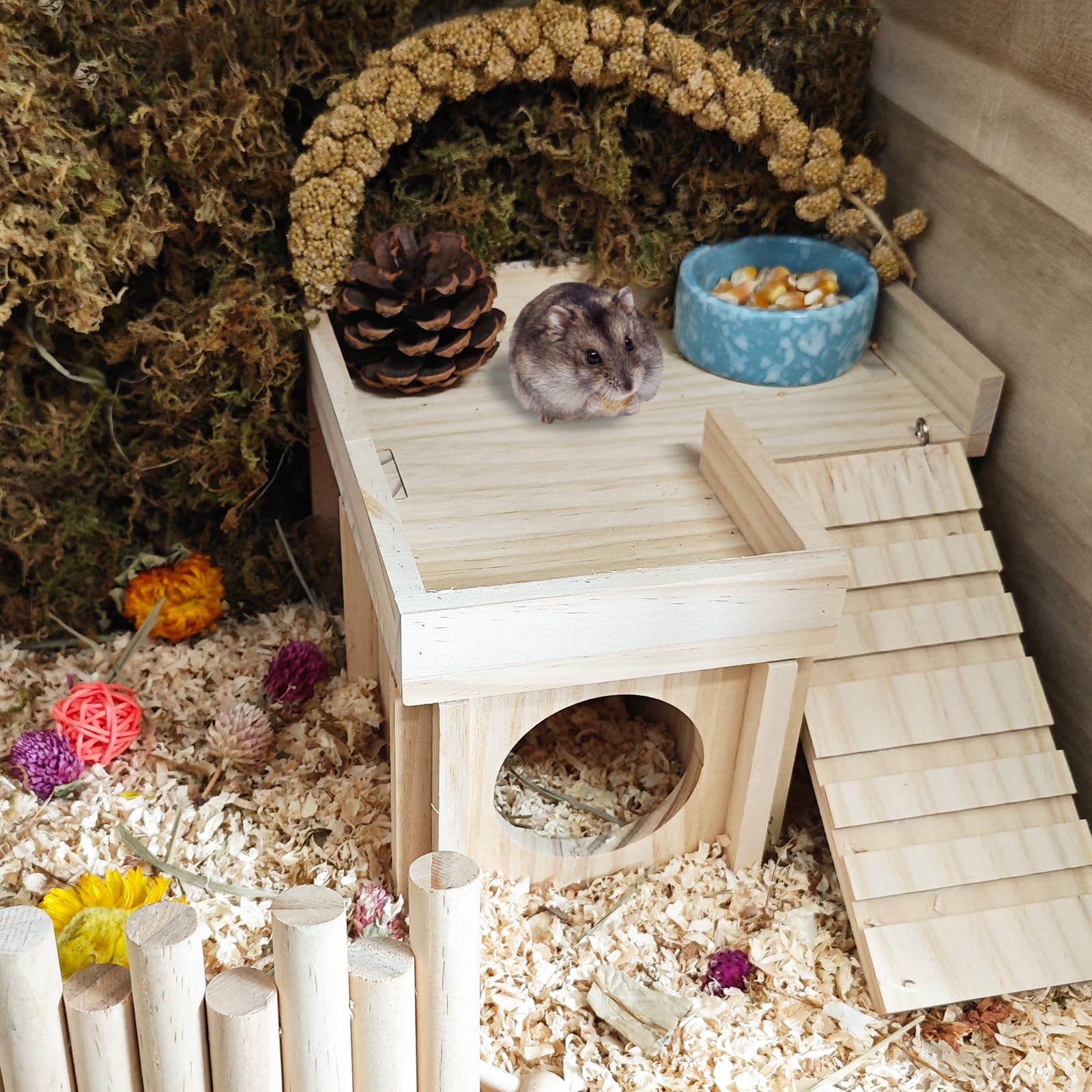 Acsist habitat hamster bois petits animaux, compatibilité générale.