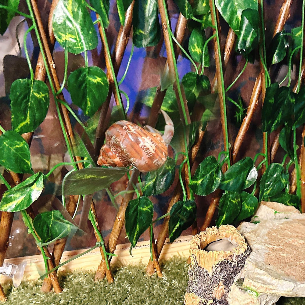 Acsist habitat reptile decor vert extensible, offre espace repos et jeu.