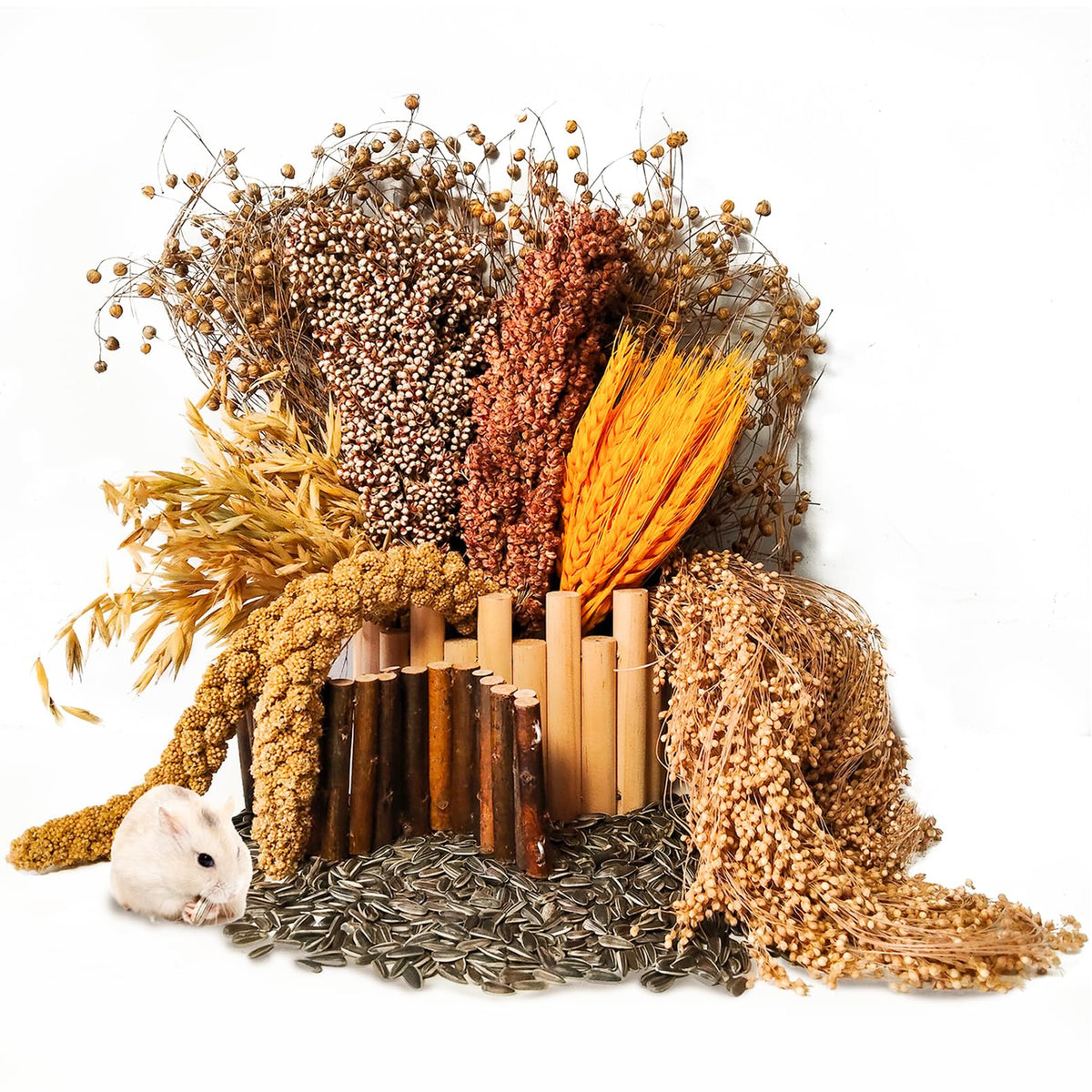 Acsist habitat hamster avec décor fleurs et herbes pour stimulation naturelle