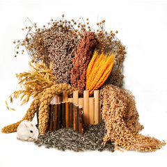 Acsist habitat hamster avec décor fleurs et herbes pour stimulation naturelle