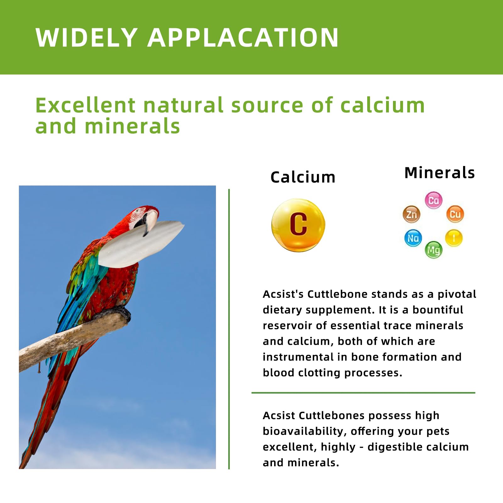 Utilisation simple dans la cage grâce au clip Acsist