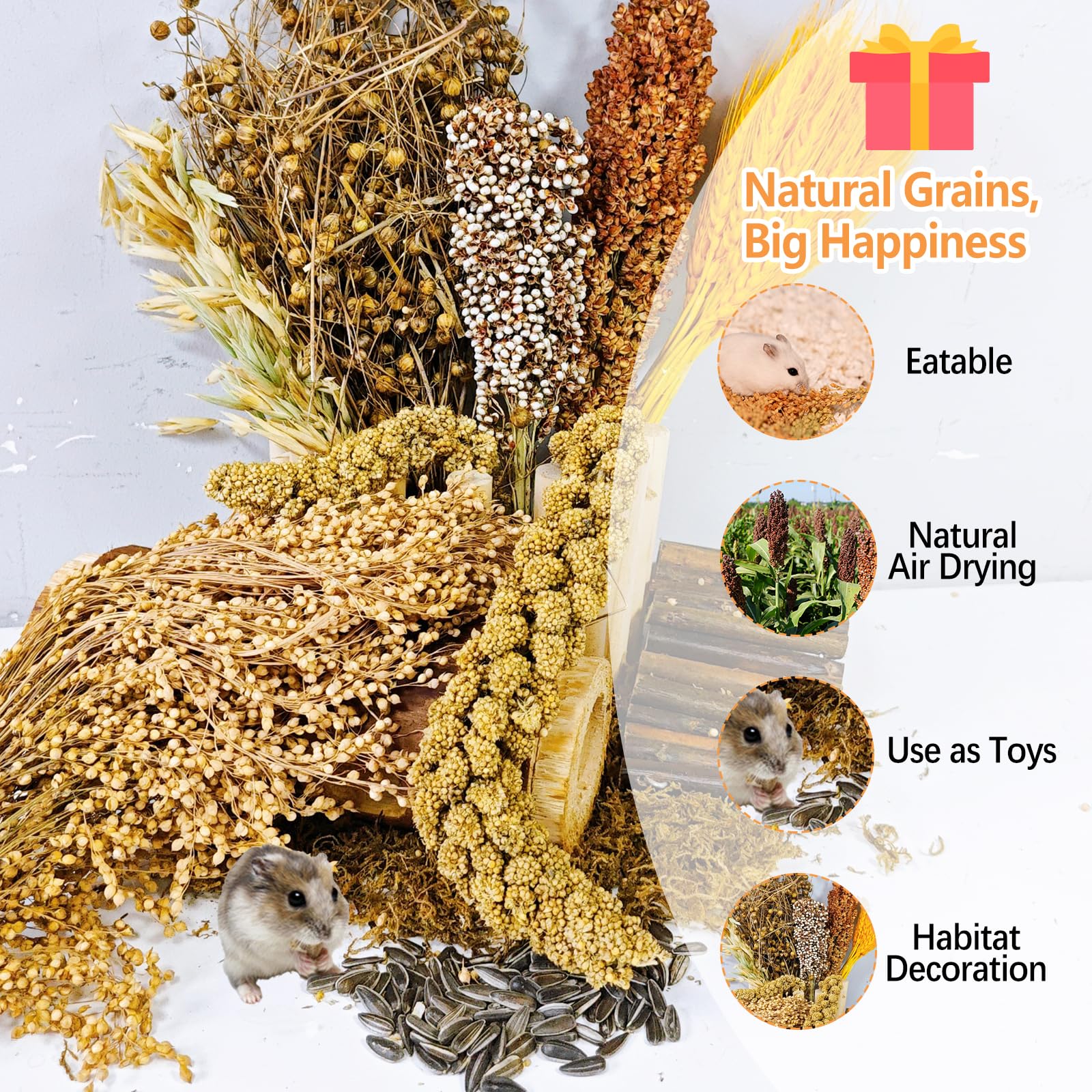 Acsist sorghum blanc – source naturelle à grignoter pendant le jeu