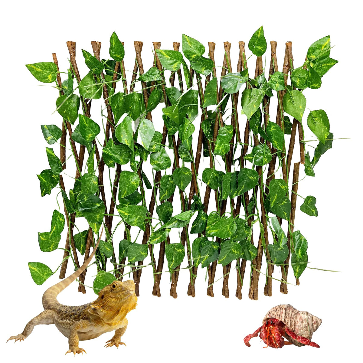 Acsist treillis extensible decoration habitat-terarium, refuge sûr et esthétique.