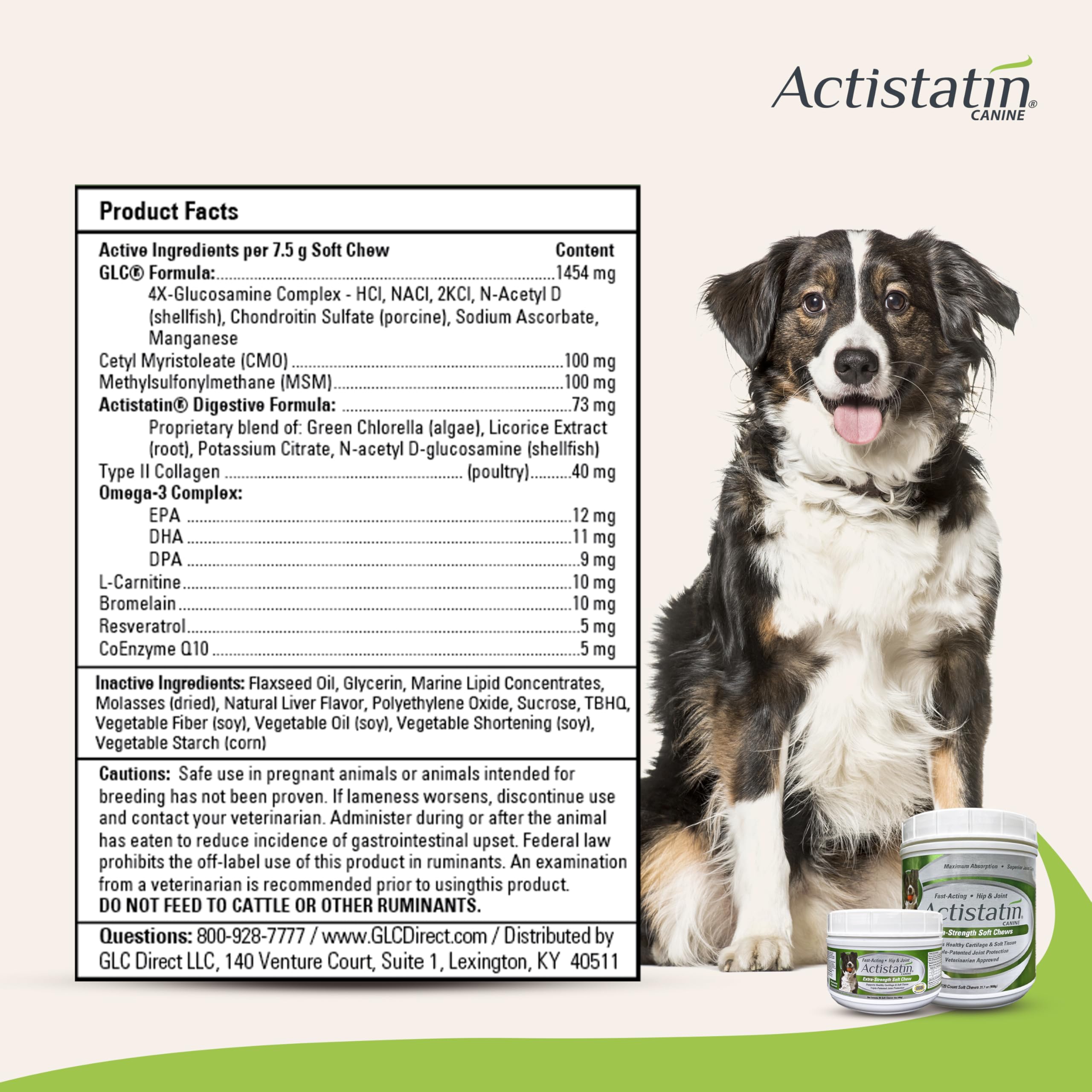 Actistatin Chien Gros - bouchées mous texture douce faciles à mâcher.