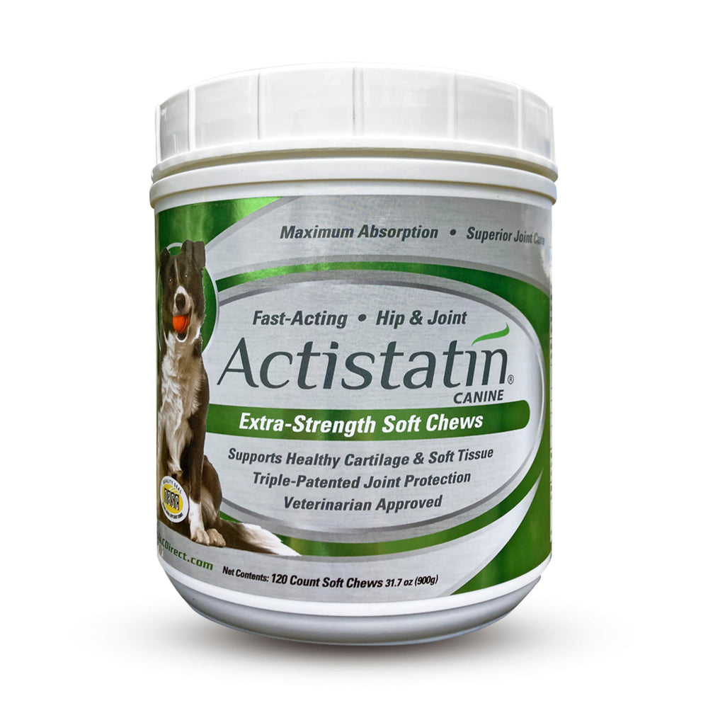 Actistatin Chien Gros - bouteille emballage pratique pour le quotidien.