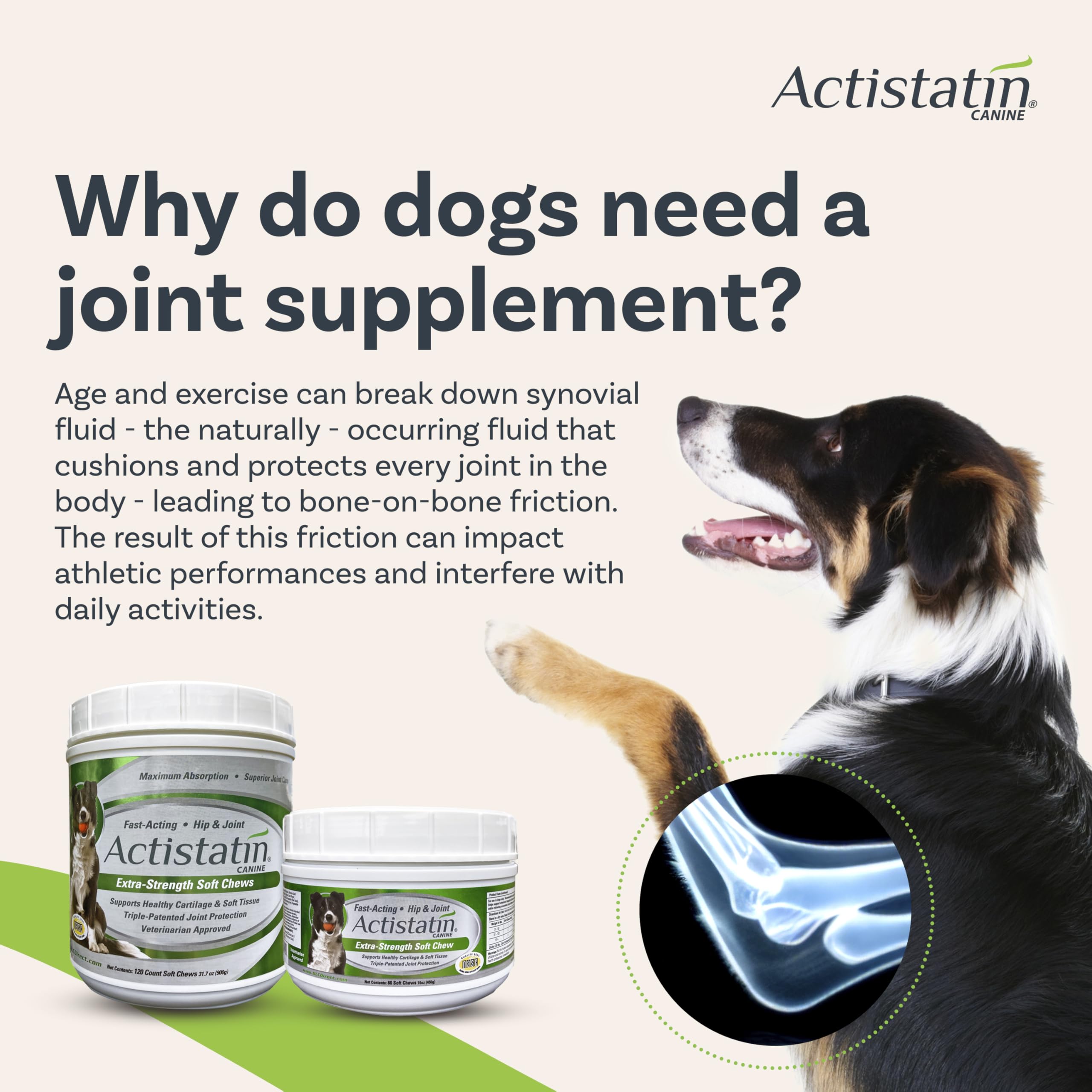 Actistatin Chien Gros - prise quotidienne avec cuillere facile et pratique.