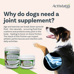 Actistatin Chien Gros - prise quotidienne avec cuillere facile et pratique.