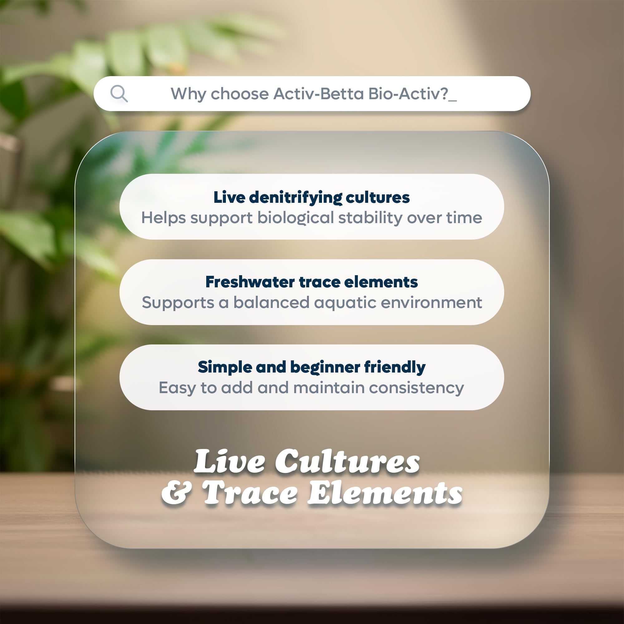 Activ Betta Bio-Activ Live – biofilm naturel soutenant l'écosystème.