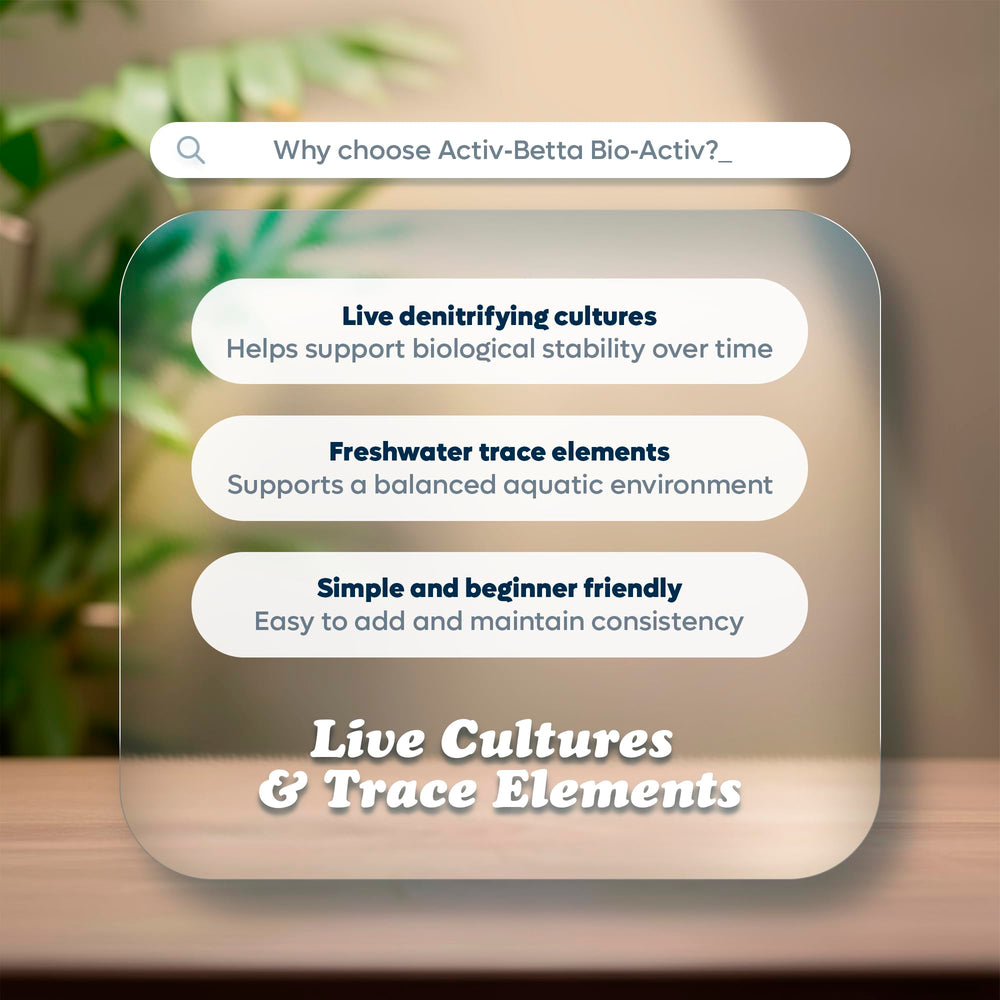 Activ Betta Bio-Activ Live – biofilm naturel soutenant l'écosystème.
