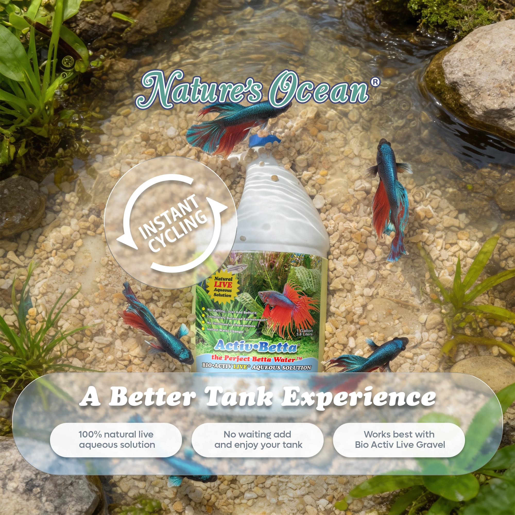 Activ Betta Bio-Activ Live – eau claire et plantes bien mises en valeur.
