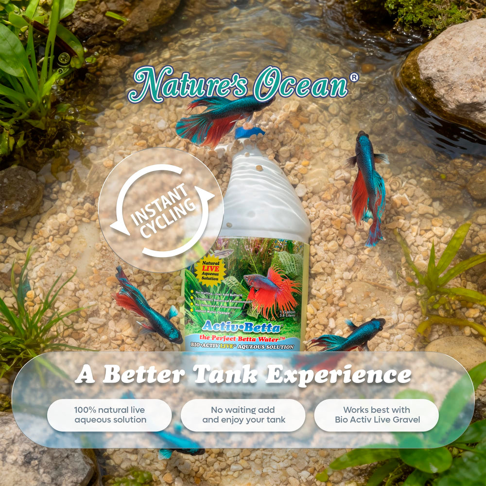 Activ Betta Bio-Activ Live – eau claire et plantes bien mises en valeur.