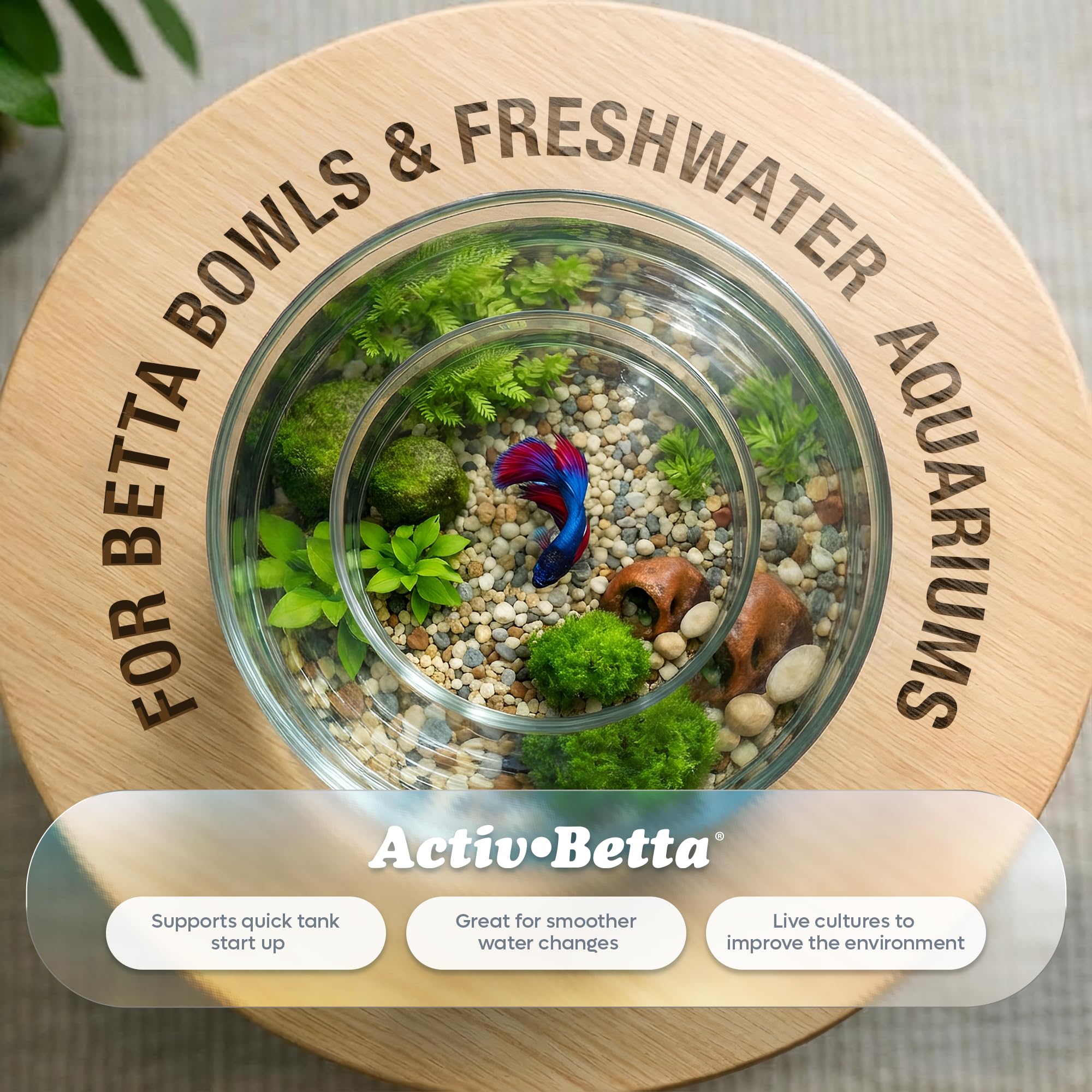 Activ Betta Bio-Activ Live – mise en service rapide pour un bac sain.