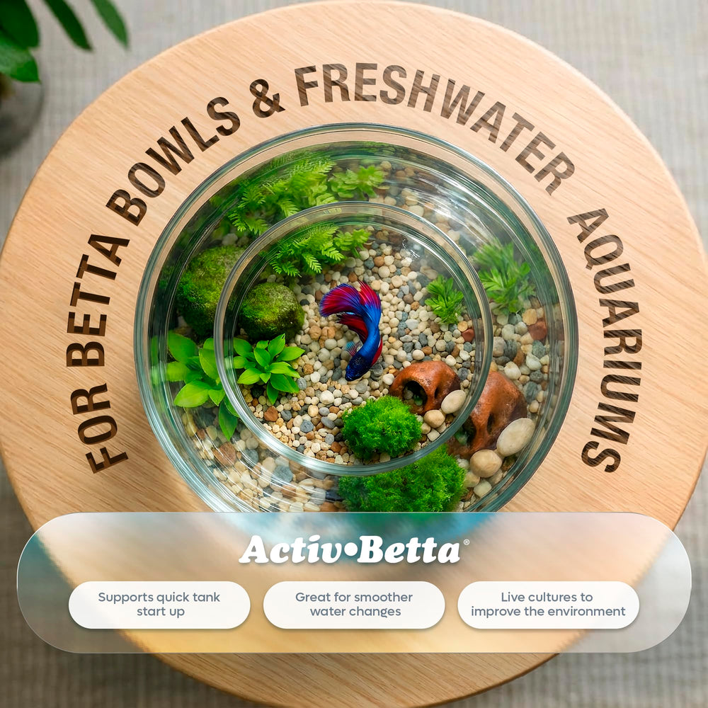 Activ Betta Bio-Activ Live – mise en service rapide pour un bac sain.