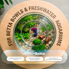 Activ Betta Bio-Activ Live – mise en service rapide pour un bac sain.