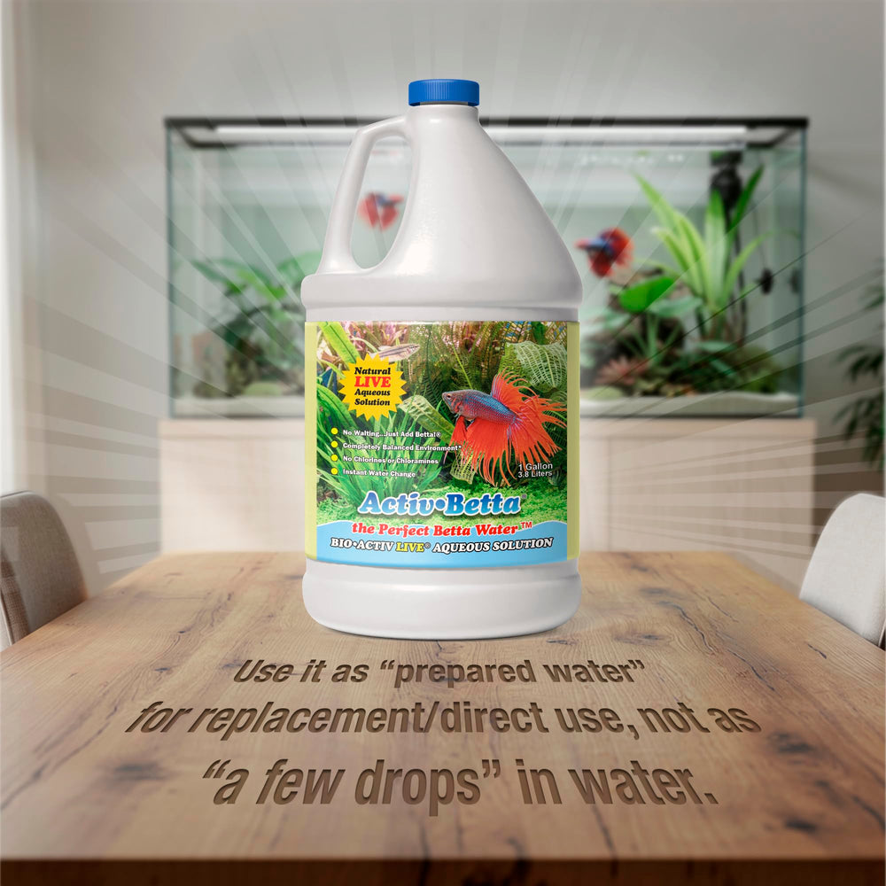 Activ Betta Bio-Activ Live – nutriments pour racines robustes et plantes.