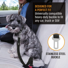 Active Pets: adaptabilité universelle pour voitures et SUV